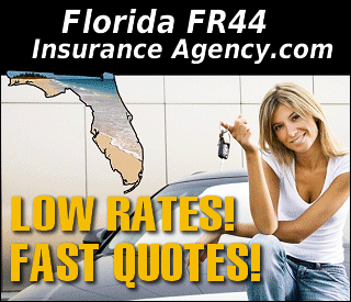 Florida FR44 Insurance Agency.com - Fast, Free Florida FR44 Filing Auto Insurance quotes.